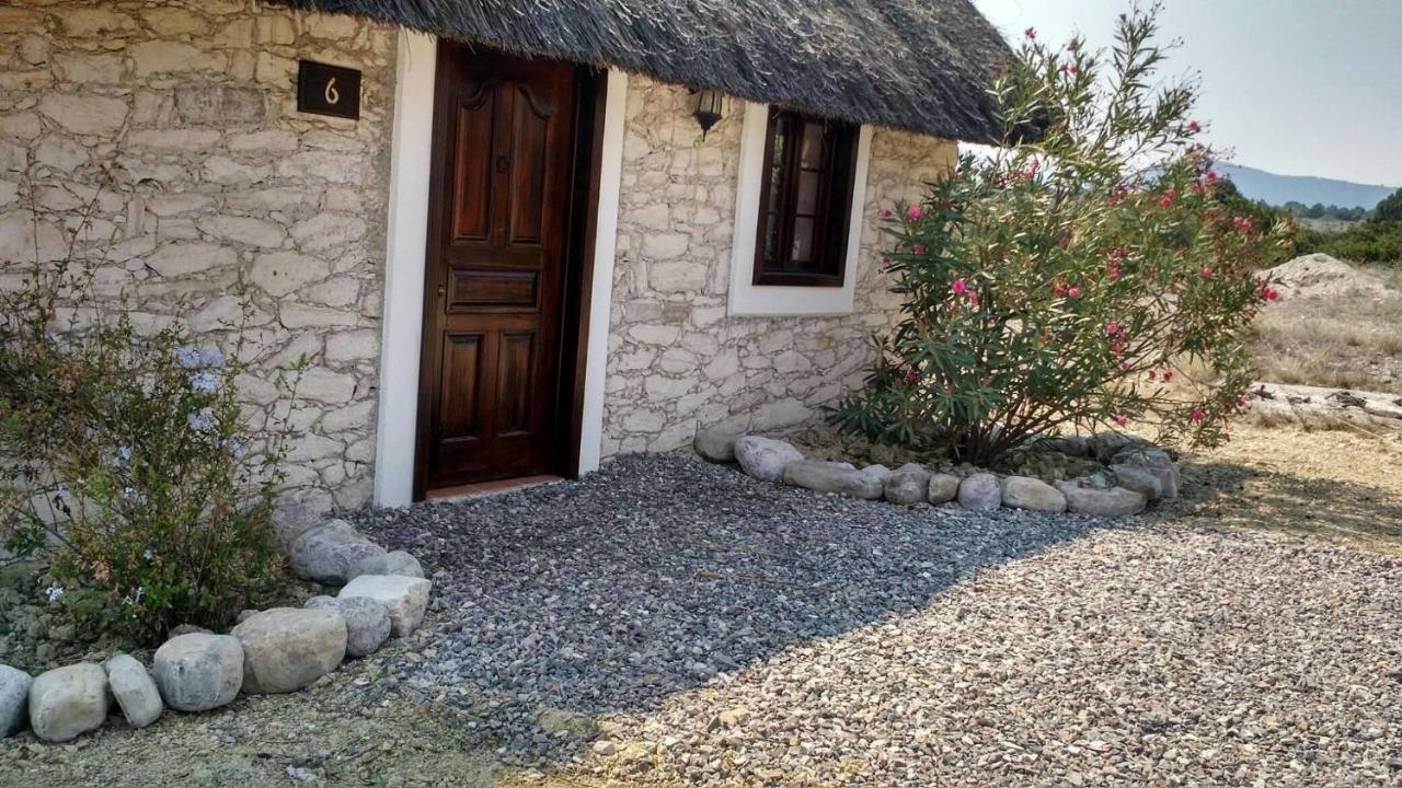 Ecoturismo Cabanas La Florida Cardonal 외부 사진